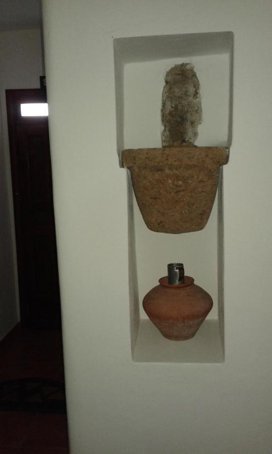 Casapancho 1 Y 2 - Casa Rural - Fasnia - Tenerife Dış mekan fotoğraf