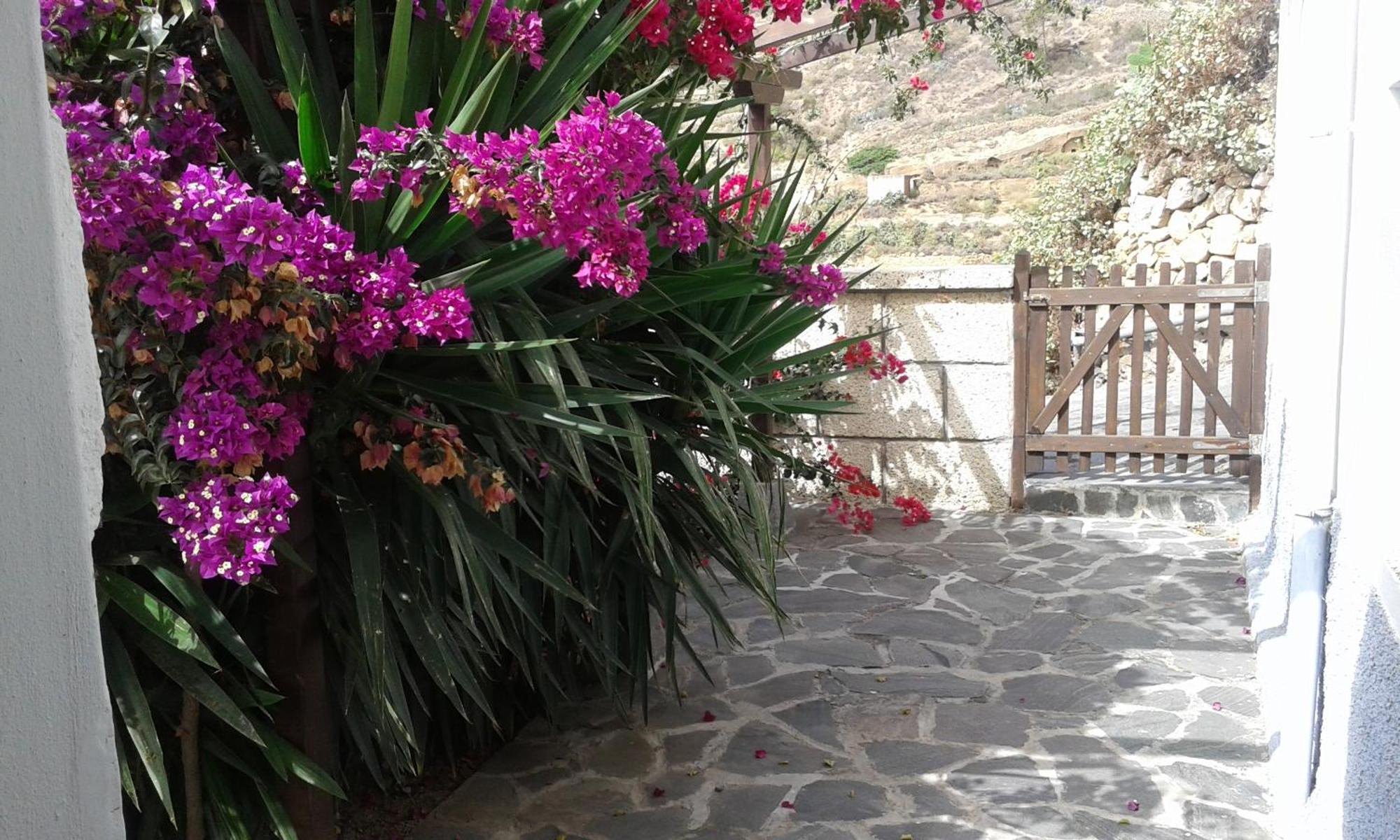 Casapancho 1 Y 2 - Casa Rural - Fasnia - Tenerife Oda fotoğraf